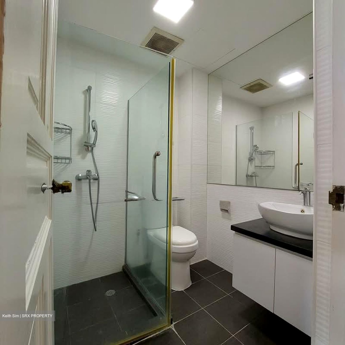 Shelford Regency (D11), Condominium #576782581